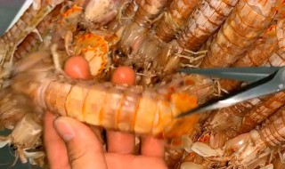 怎样做虾才不扎手 怎样做虾才不扎手呢