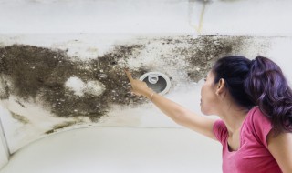 屋顶有霉点怎么处理 屋顶有霉点怎么处理掉