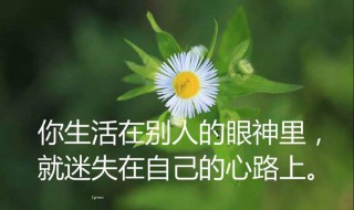 经典句子人生感悟 生活感悟经典句子人生感悟