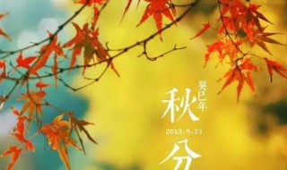 秋分是秋天的第几个节气（秋分是秋天的第几个节气?）