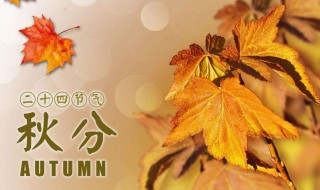 秋分象征着什么 秋分象征着什么描写秋分的诗