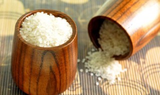 大米怎样做不生虫 大米怎么做不生虫