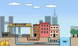 雨污分流怎么分的（雨污分流是怎么分的）