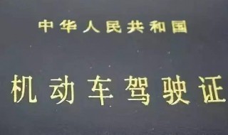 扣24分后怎么处理（扣24分后怎么处理违章）
