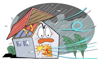 台风预警几个等级划分（台风预警等级划分标准最新）