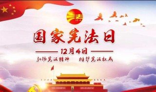 宪法宣传标语（宪法宣传标语2023年）
