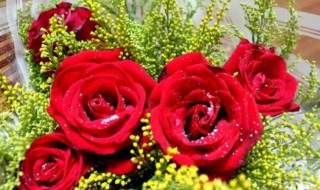 5朵玫瑰花代表什么意思 6朵玫瑰花代表什么意思