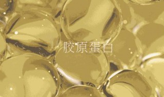 怎么才能补充胶原蛋白 怎么才能补充胶原蛋白最快