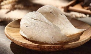 啥是燕窝（什么是燕窝）