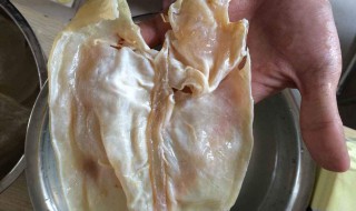 鱼胶清洗方法（鱼胶清洗方法视频）