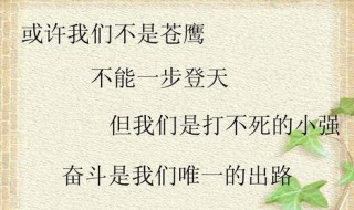 打不死的小强励志词句 打不死的小强励志词句图片