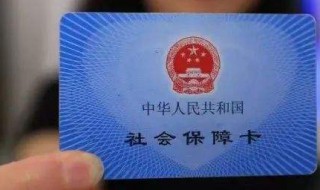 自由职业者社保怎么交费（天津自由职业者社保怎么交费）