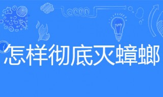 怎样彻底灭蟑螂 怎样彻底灭蟑螂和卵