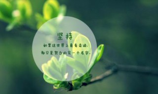 霸气高冷有个性的句子（霸气高冷有个性的句子简短）