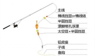长竿抛竿技巧（长竿抛竿技巧视频教程）