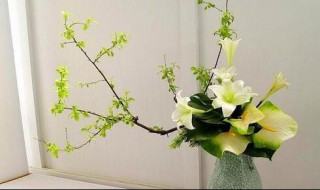 插花艺术教程固定法技巧（插花的固定）