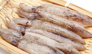 鱿鱼和章鱼有什么区别（鱿鱼跟章鱼的区别）
