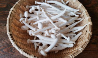 冰箱里海鲜菇长白毛可以吃吗（海鲜菇长白色的毛还能吃吗）