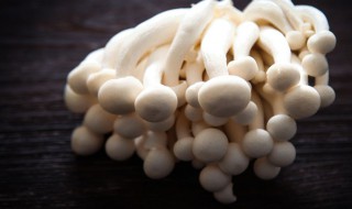 白玉菇和海鲜菇有什么区别（白玉菇和海鲜菇有什么区别图片）