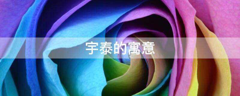 宇泰的寓意 宇泰名字寓意