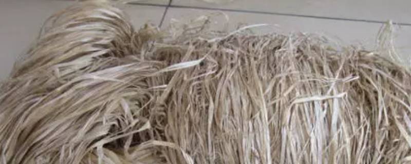 植物纤维是纯棉吗（洗脸巾天然植物纤维是纯棉吗）