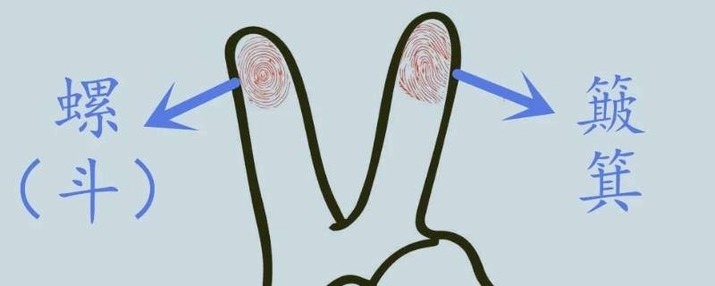 手指斗和簸箕如何区分 怎么看手指斗和簸箕