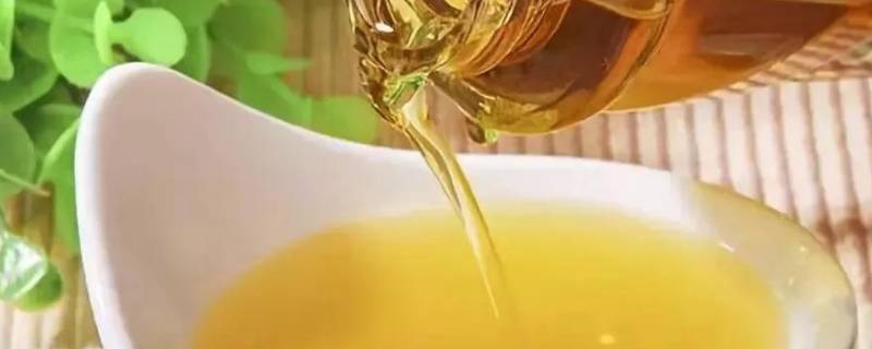 菜籽油过期了怎么处理 吃了过期的菜籽油怎么办