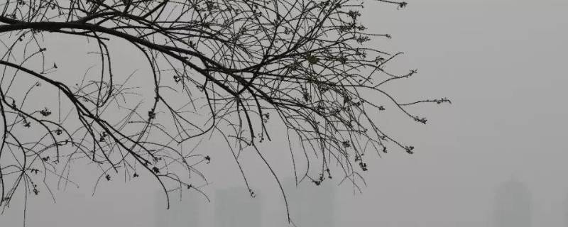 什么天气系统造成的大风为多 什么天气系统造成的大风为多雨