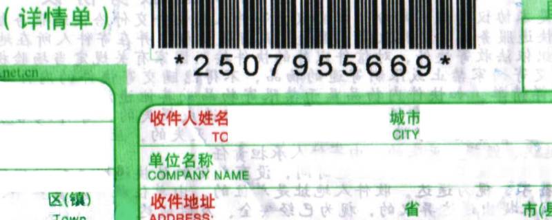 快递编号怎么看是什么快递（哪个是快递编号）
