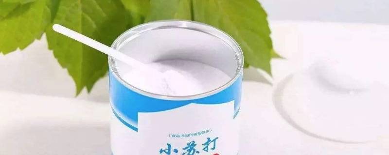 菠萝没有盐用什么代替（菠萝没有盐用什么代替的）