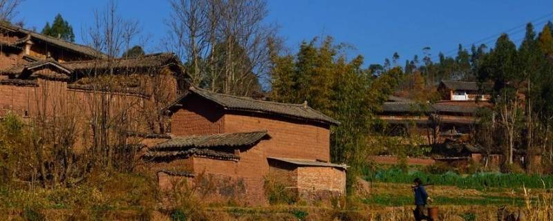 村里建个群叫什么名字（村里建个群起什么名字）