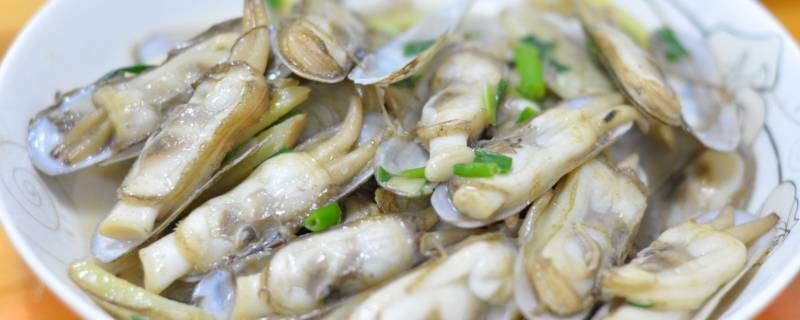 蛏子怎么读（蛏子怎么吃 里面要去掉什么）