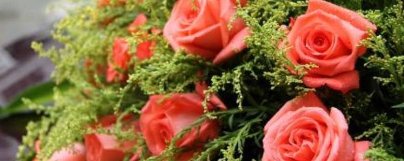 订婚花上卡片写什么字 刚结婚送花卡片怎么写