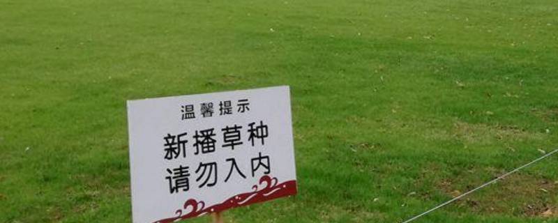 关于爱护草坪的宣传标语 关于爱护草坪的宣传标语口号