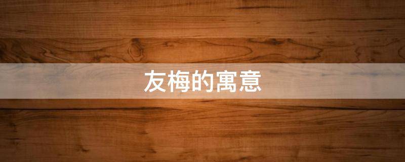 友梅的寓意（梅意的含义）
