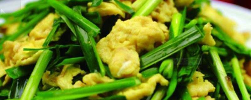 韭菜可以炒哪些东西 韭菜炒哪些东西好吃