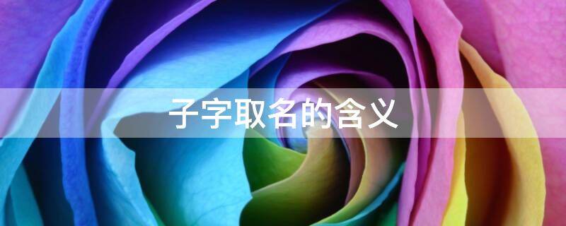 子字取名的含义 子字取名的含义是什么