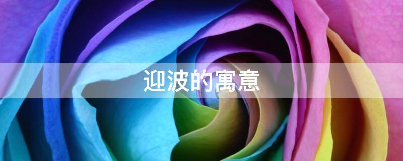 迎波的寓意（迎波面是什么意思）