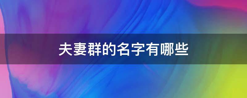 夫妻群的名字有哪些（夫妻群的名字有哪些呢）