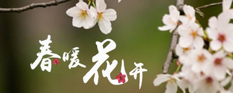 春暖花开祝福语有哪些 春暖花开时祝福语