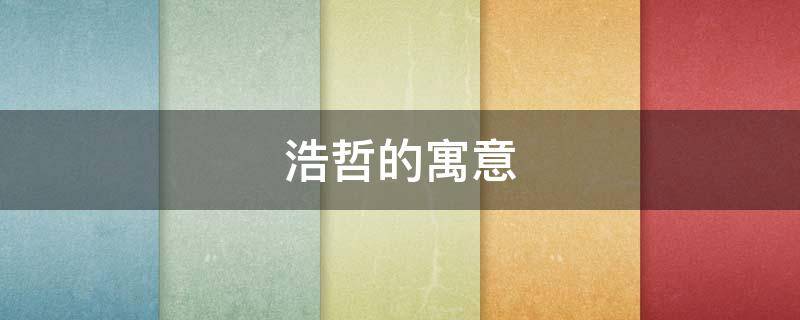 浩哲的寓意（浩哲寓意的视频）