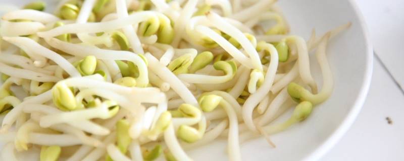 立春吃哪种菜 立春吃哪种菜最好