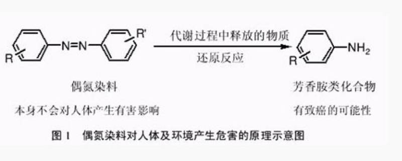 芳香胺是什么东西 什么叫芳香胺