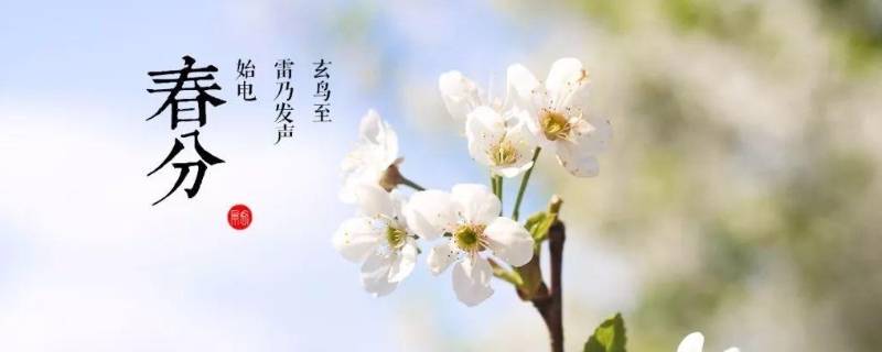 春分的由来 春分的由来是什么