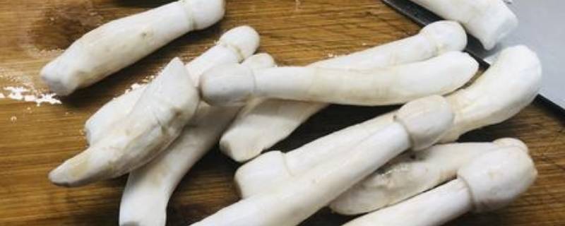 长蘑菇叫什么名字 20种常见的食用菌图片