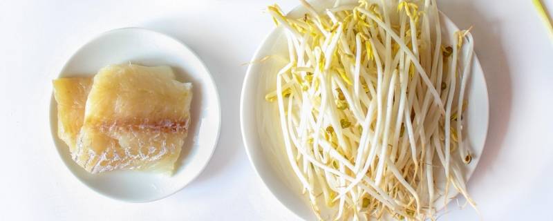 绿豆芽可以长多高（绿豆芽可以长多高啊）