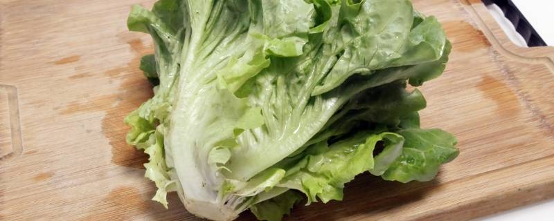 玻璃菜是什么菜（玻璃菜是什么菜做成的）