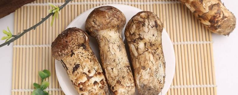 松茸冷冻后发黄还能吃吗 松茸冷冻后发黄还能吃吗有毒吗