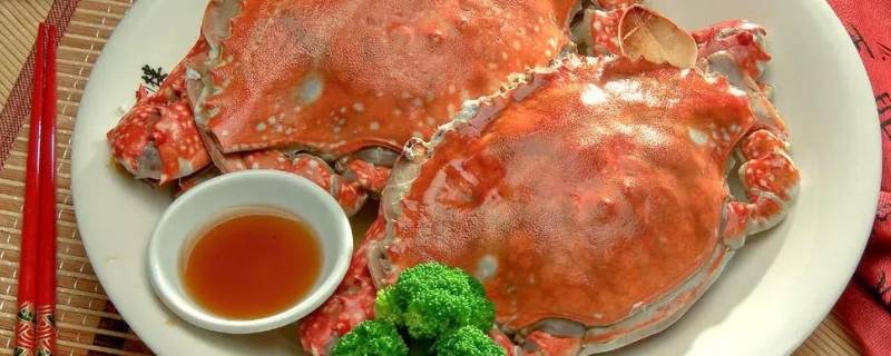 梭子蟹怎样挑选肥的（梭子蟹怎样挑选肥的图）