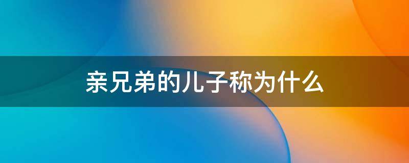 亲兄弟的儿子称为什么（亲兄弟的儿子称为什么意思）